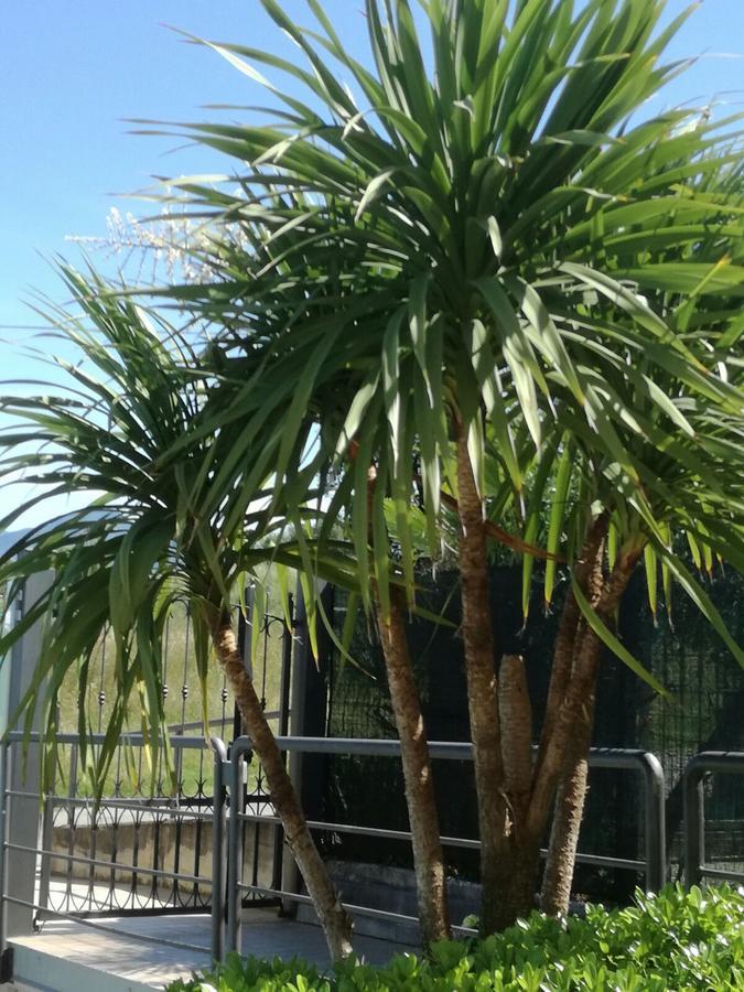 Residenza Orchidee Aparthotel Lazise Bagian luar foto